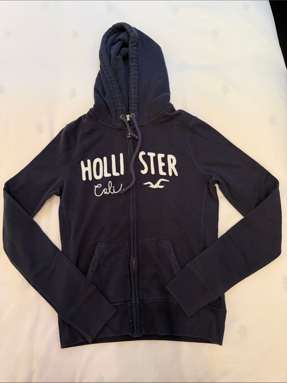 Hooded Zip Sweatshirt - Hollister